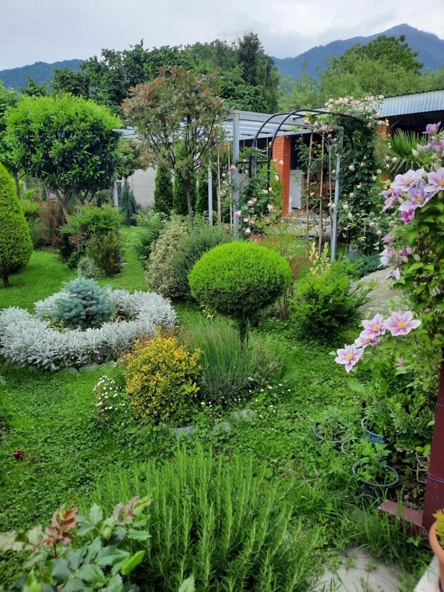 Guest House Gardenia & Wine Cellar Lagodekhi Zewnętrze zdjęcie