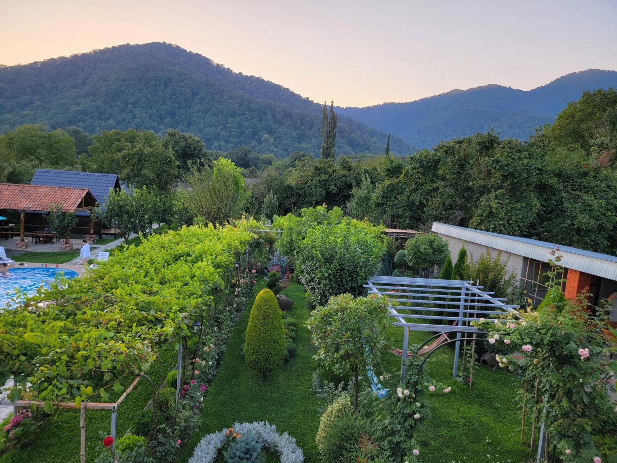 Guest House Gardenia & Wine Cellar Lagodekhi Zewnętrze zdjęcie